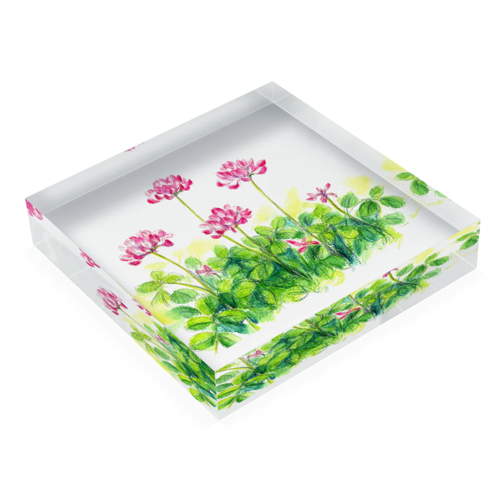 リラのレンゲ草 Acrylic Block :placed flat