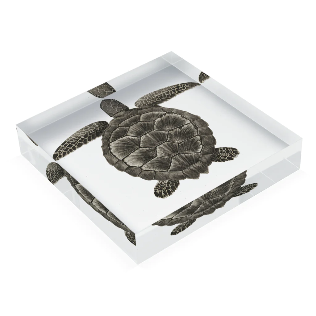 J. Jeffery Print Galleryのカメ Acrylic Block :placed flat