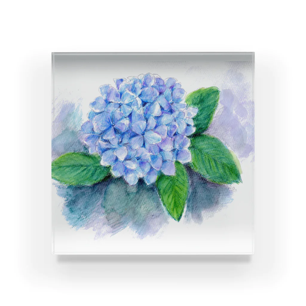 リラの紫陽花 Acrylic Block