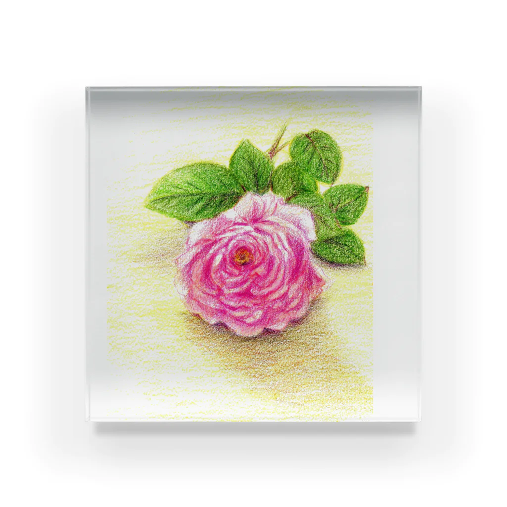 リラの一輪の薔薇 Acrylic Block