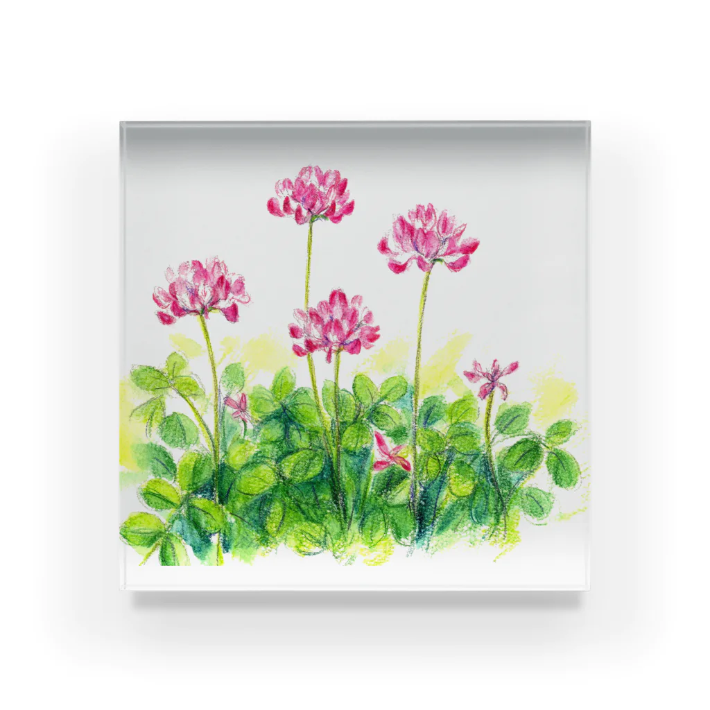 リラのレンゲ草 Acrylic Block