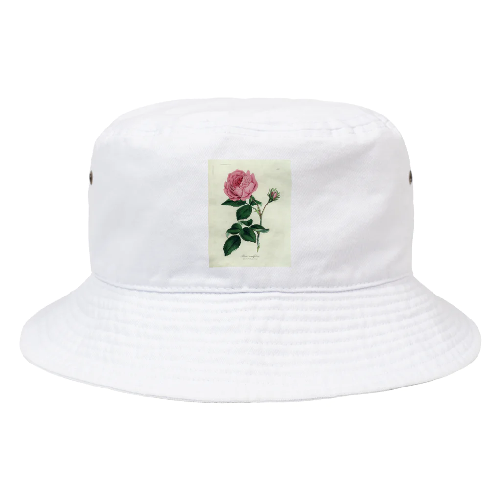 J. Jeffery Print Galleryのロサ・センティフォリア Bucket Hat