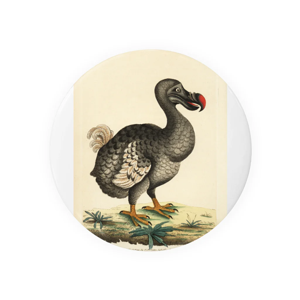 J. Jeffery Print Galleryの絶滅したドードー鳥 Tin Badge