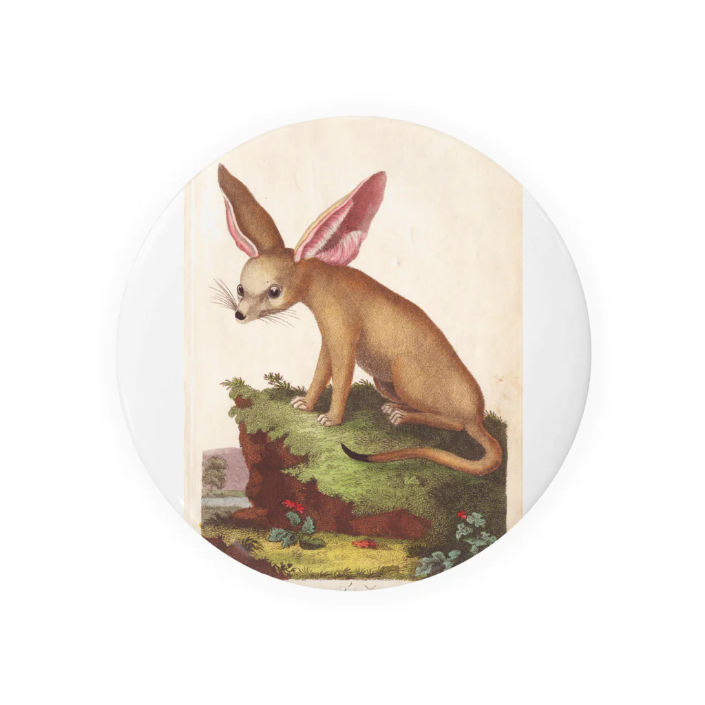 J. Jeffery Print Galleryのフェネックギツネ Tin Badge