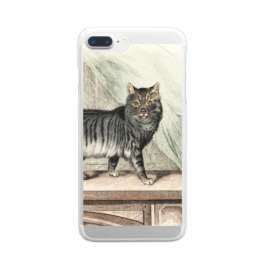 J. Jeffery Print Galleryのネコちゃん Clear Smartphone Case