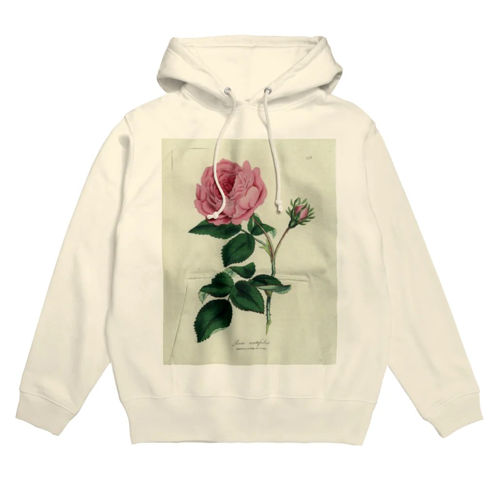 J. Jeffery Print Galleryのロサ・センティフォリア Hoodie