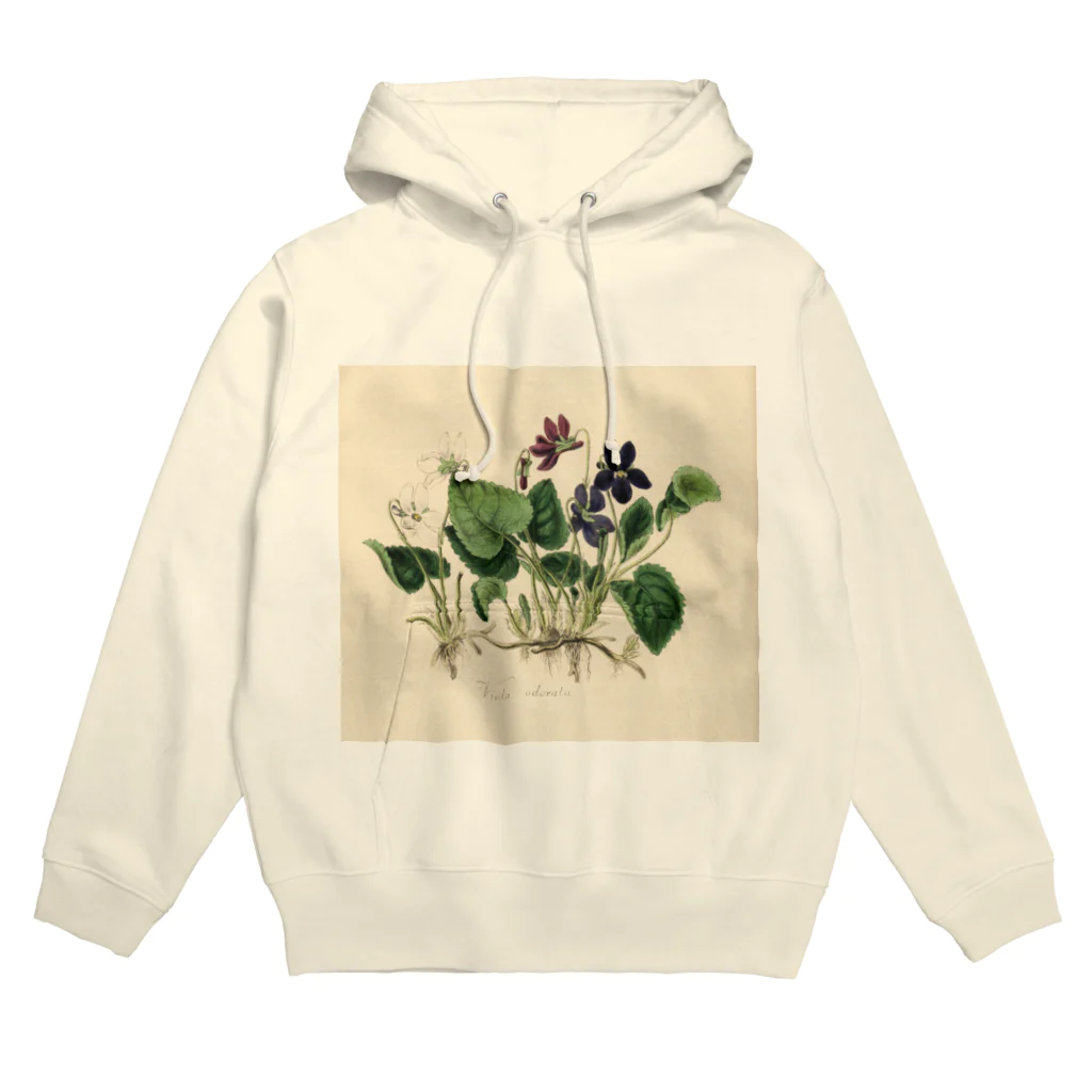 J. Jeffery Print Galleryのスミレ Hoodie