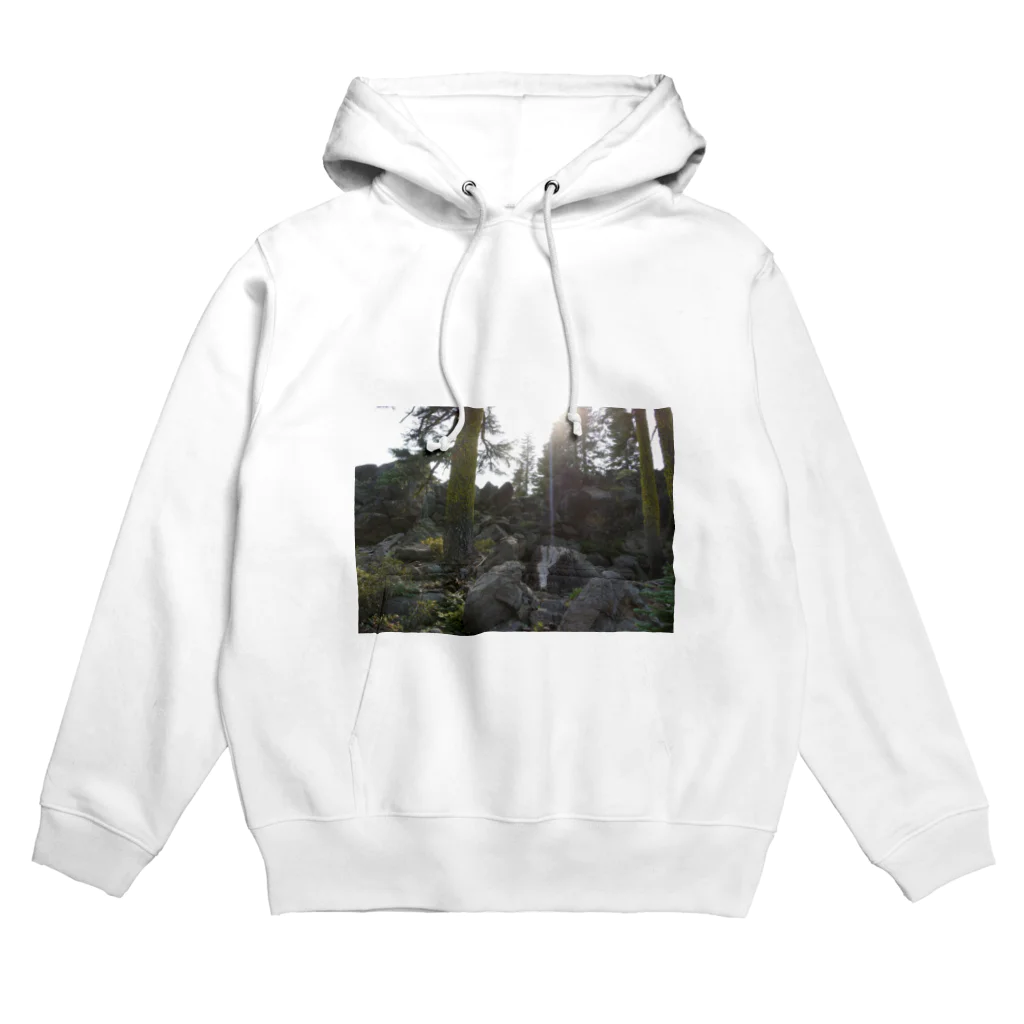 天使のやすらぎのシャスタ・ボルテックス Hoodie