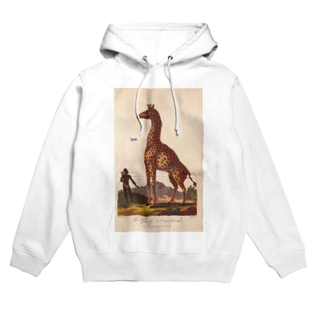 J. Jeffery Print Galleryの『博物学の普遍的システム』 Hoodie