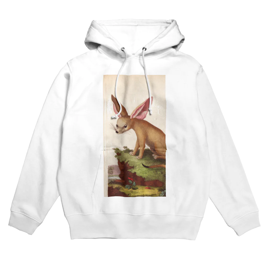 J. Jeffery Print Galleryのフェネックギツネ Hoodie