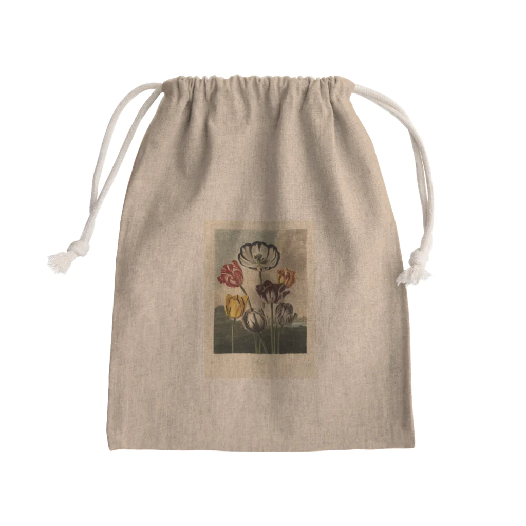 J. Jeffery Print Galleryのフローラの神殿 - チューリップ Mini Drawstring Bag