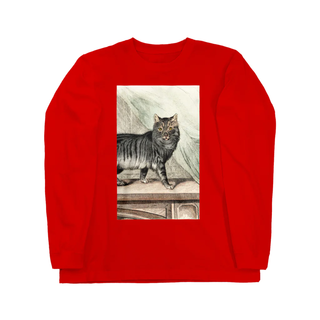 J. Jeffery Print Galleryのネコちゃん Long Sleeve T-Shirt