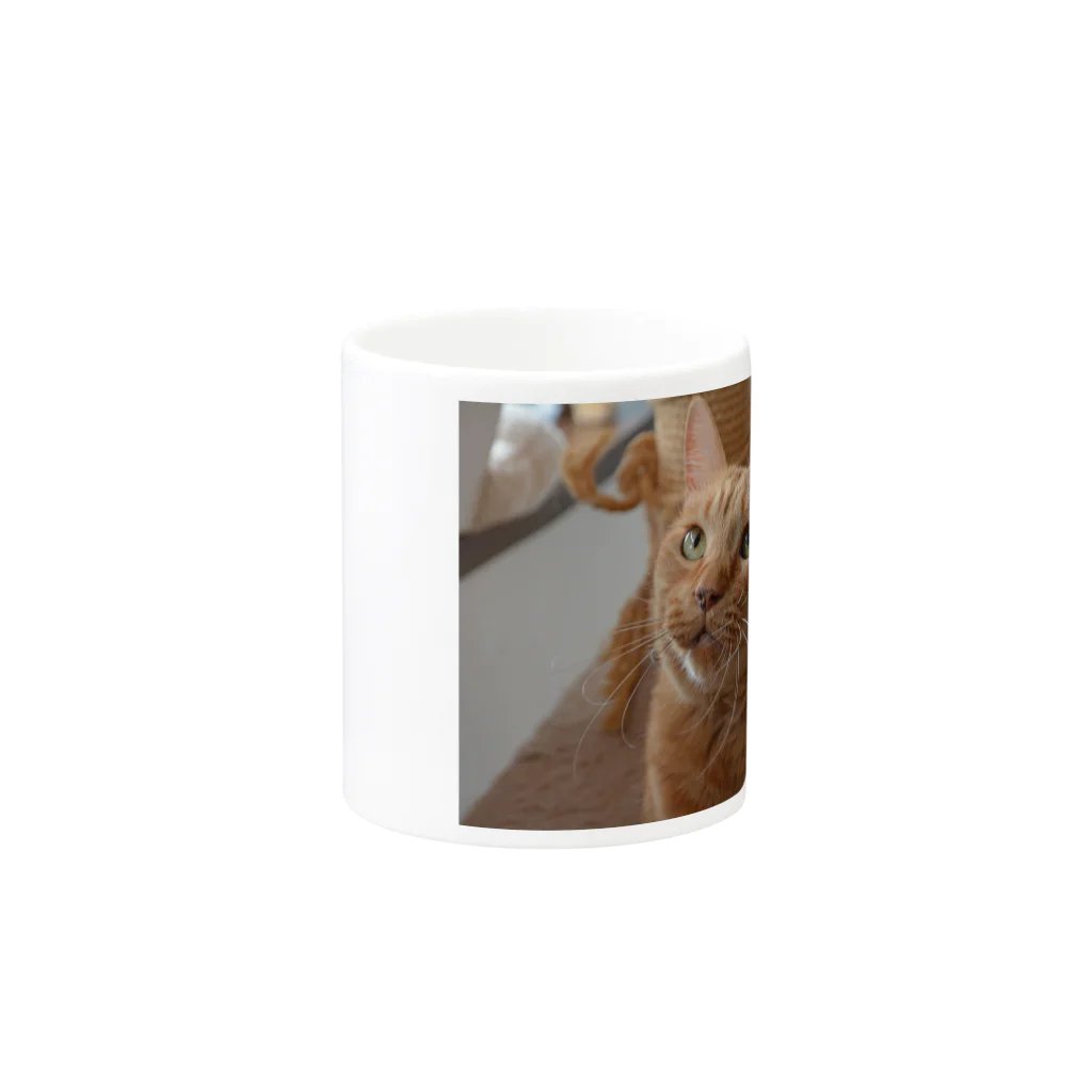 cafecattailの茶トラのとらじろう Mug :other side of the handle