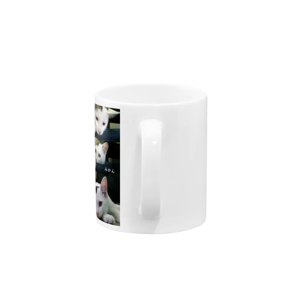 omyasanのみかんちゃん Mug :handle