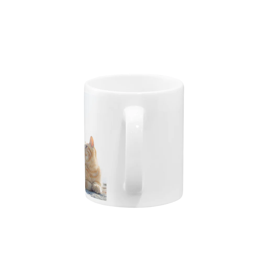 猫写真家　森永健一 にゃんこ屋 SUZURIストアのみつめる Mug :handle