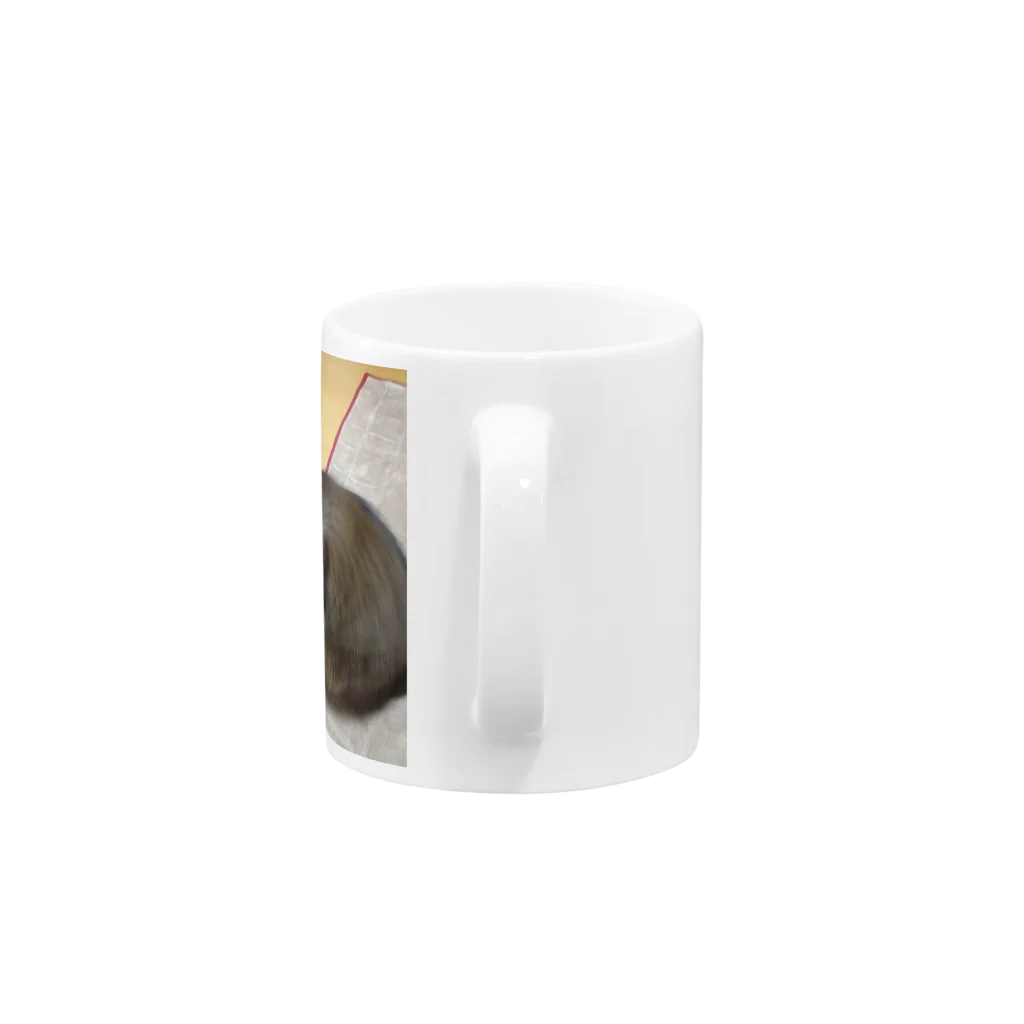 pajakodonのマルカワ Mug :handle