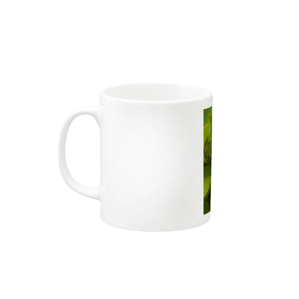 Chiaki.Sの紫陽花＊１ Mug :left side of the handle