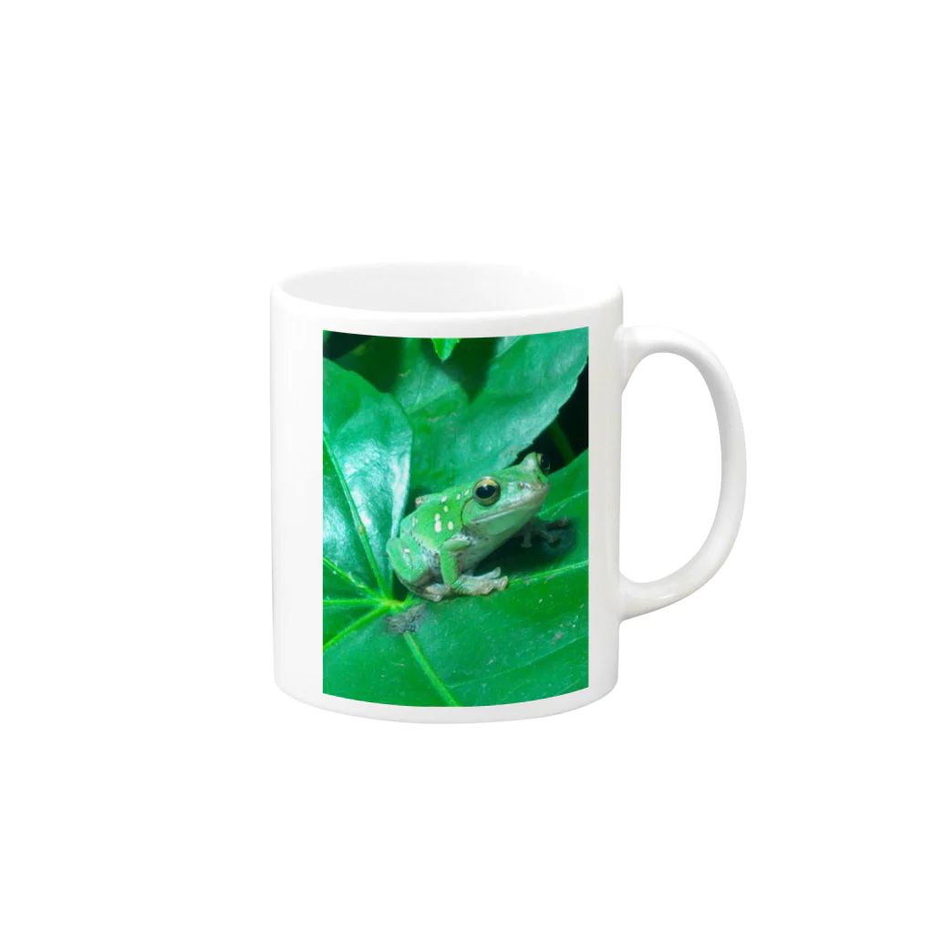 HarutakaHiyamaのGreen Flog Mug :right side of the handle