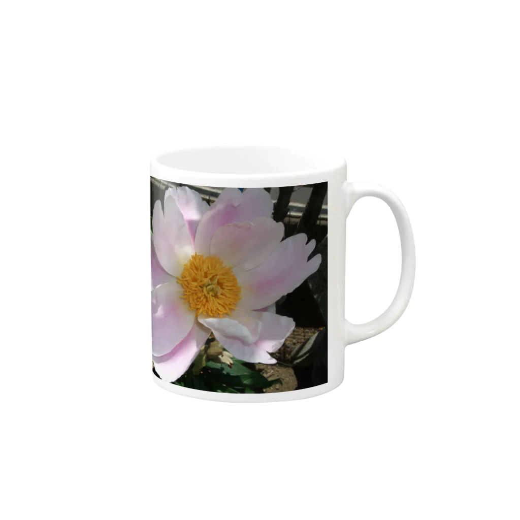 田中民生の芍薬 Mug :right side of the handle