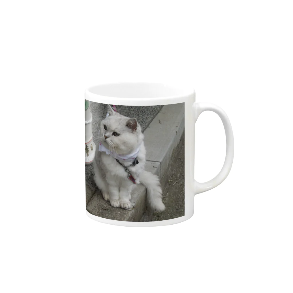 えふし～の猫ですが・・・何か？ Mug :right side of the handle