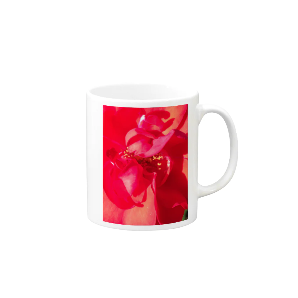 スカッピィ(｡･_･｡)ﾉの紅い薔薇 マグカップの取っ手の右面