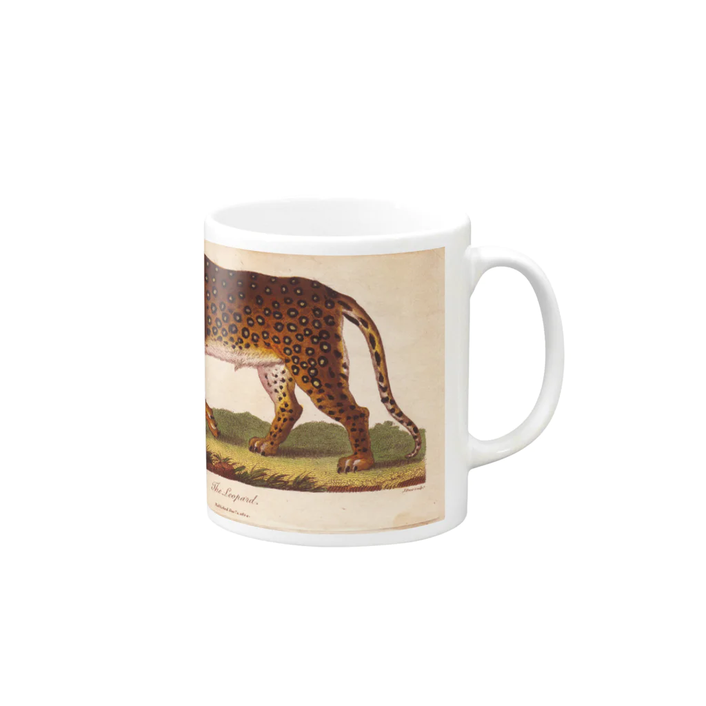 J. Jeffery Print Galleryの『博物学の普遍的システム』 Mug :right side of the handle