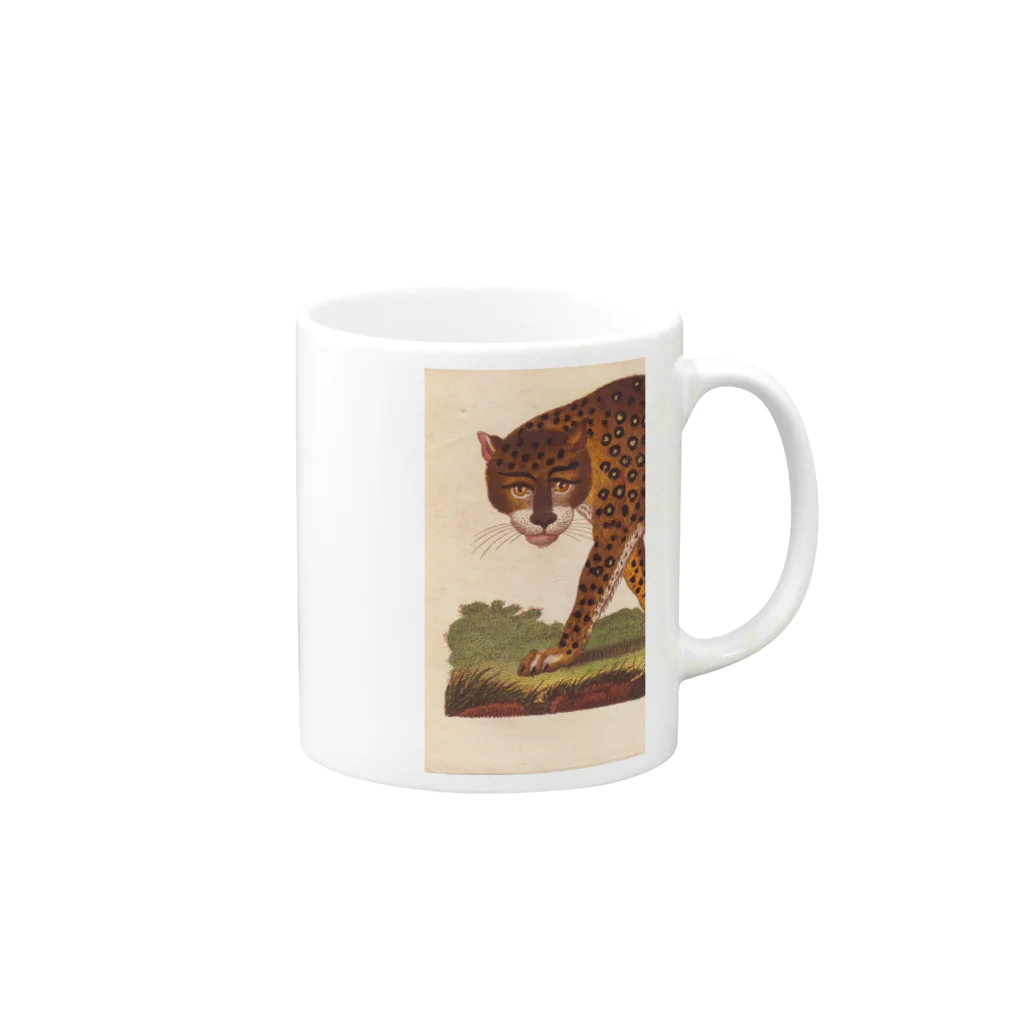 J. Jeffery Print Galleryの『博物学の普遍的システム』 Mug :right side of the handle