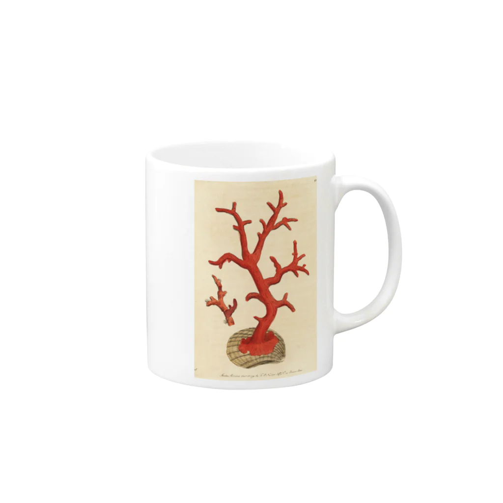 J. Jeffery Print Galleryの赤サンゴ Mug :right side of the handle