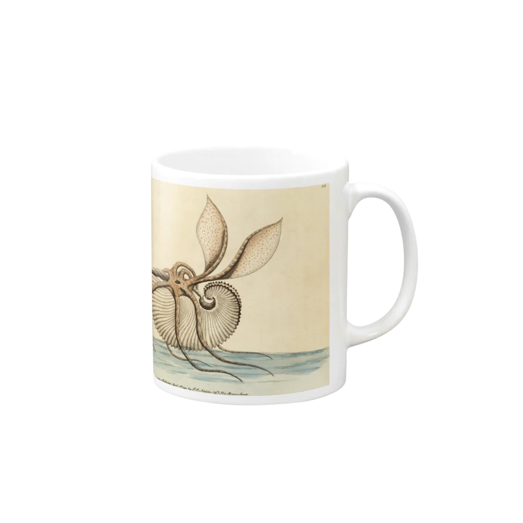 J. Jeffery Print Galleryのオウムガイ Mug :right side of the handle