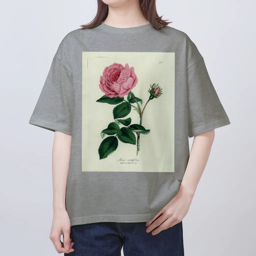 J. Jeffery Print Galleryのロサ・センティフォリア オーバーサイズTシャツ