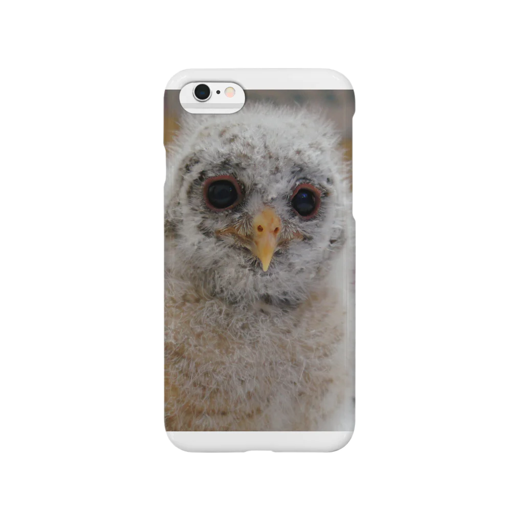 Vickeのアフリカヒナフクロウのヒナ Smartphone Case