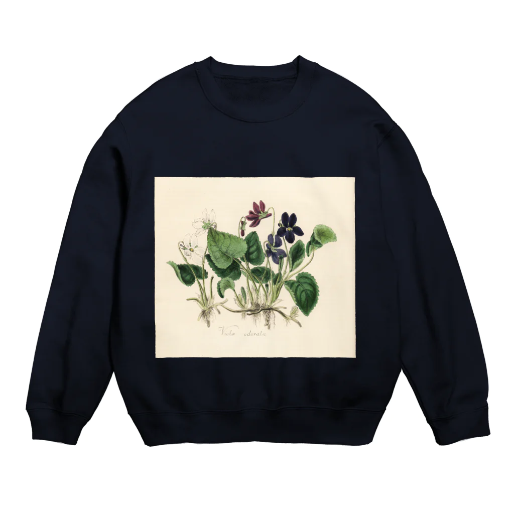 J. Jeffery Print Galleryのスミレ Crew Neck Sweatshirt