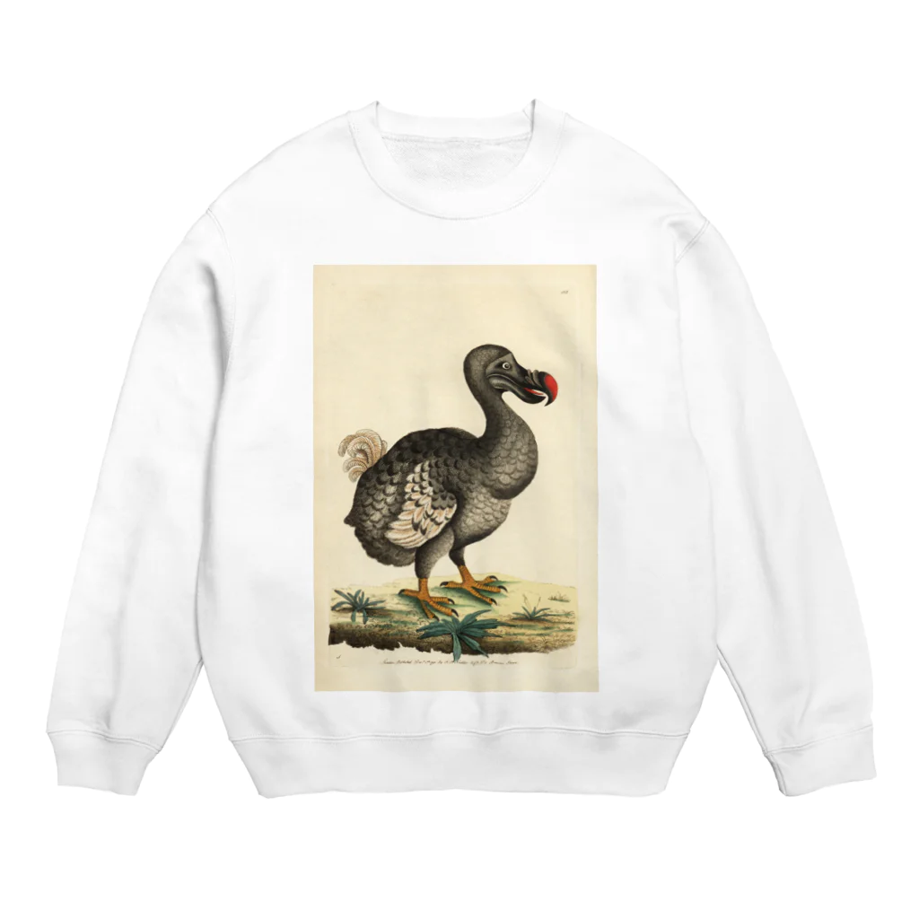 J. Jeffery Print Galleryの絶滅したドードー鳥 Crew Neck Sweatshirt