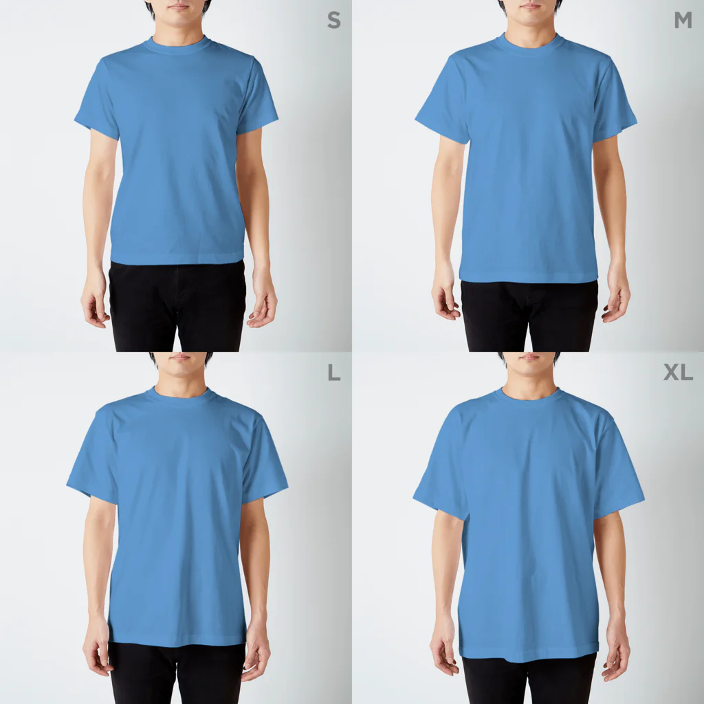 マォのまんまるシマエナガ、どーん！ Regular Fit T-Shirt :model wear (male)