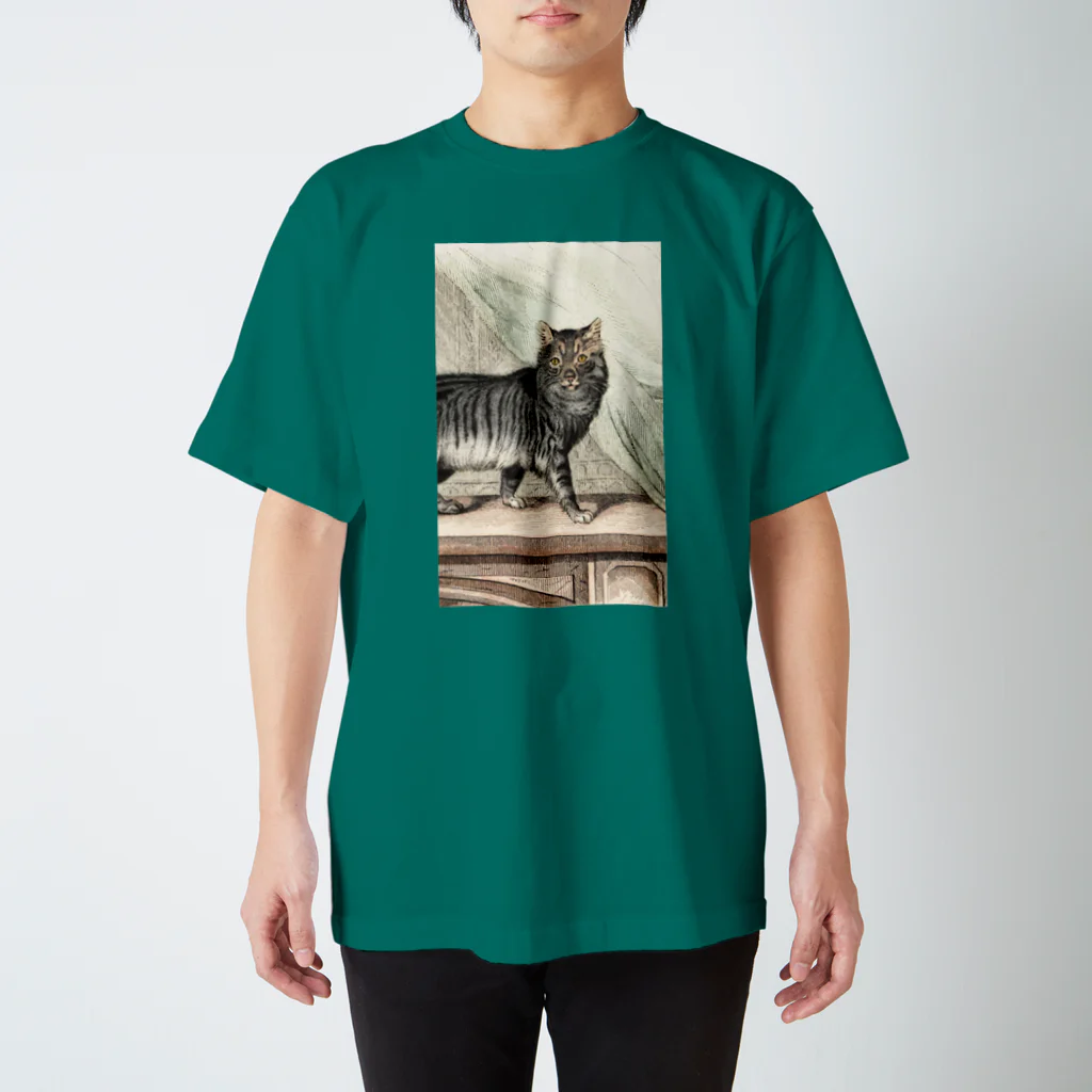 J. Jeffery Print Galleryのネコちゃん Regular Fit T-Shirt