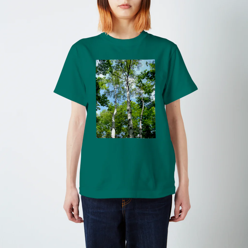 arcadiaのwhite birch スタンダードTシャツ