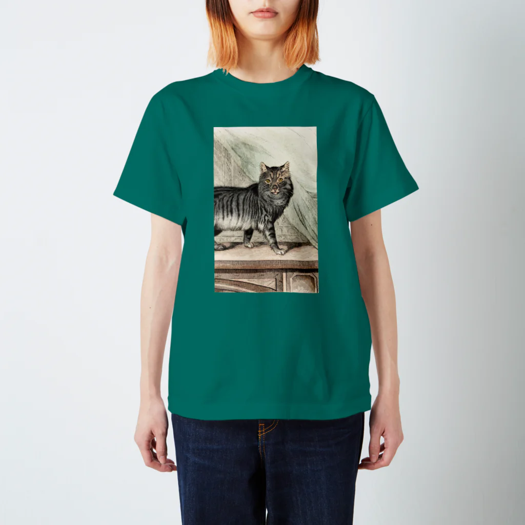 J. Jeffery Print Galleryのネコちゃん Regular Fit T-Shirt