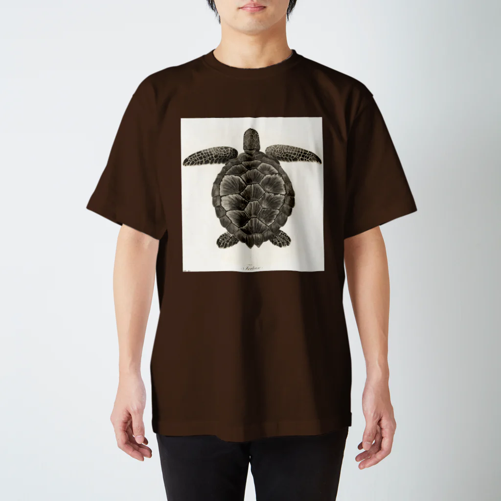 J. Jeffery Print Galleryのカメ スタンダードTシャツ