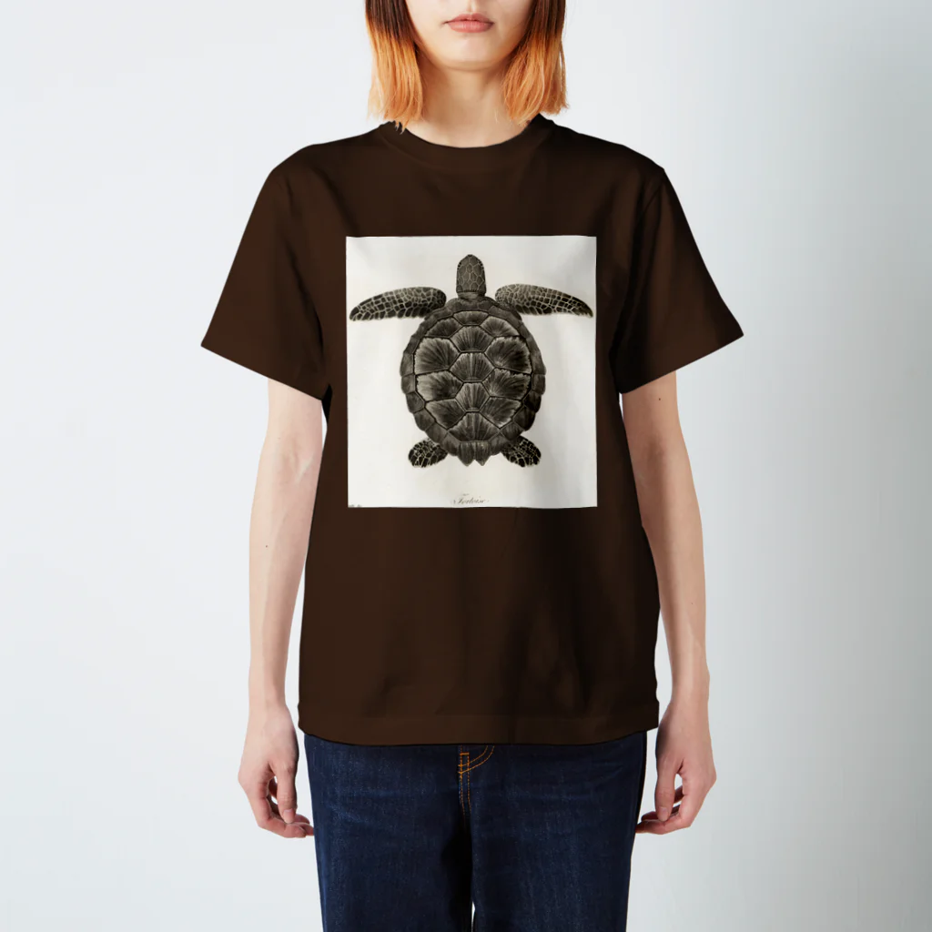 J. Jeffery Print Galleryのカメ スタンダードTシャツ