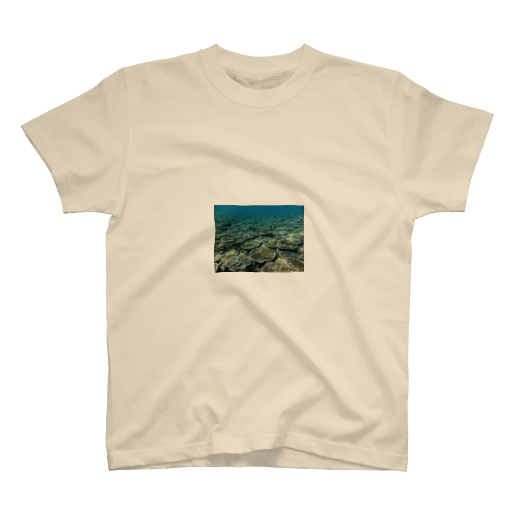 wanaka michihitoの辺野古の海 Regular Fit T-Shirt