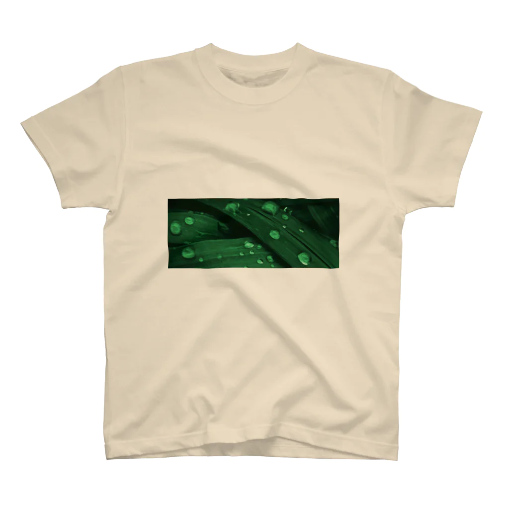 その物語を忘れない。のGRASSES AFTER RAIN, SOMEWHERE NORTH OF GARLAND Regular Fit T-Shirt