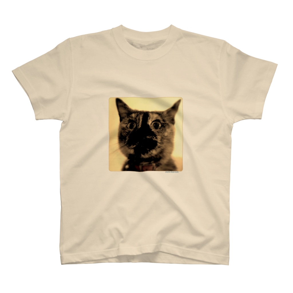 空手ポ⊿46の錆猫 T-Shirt