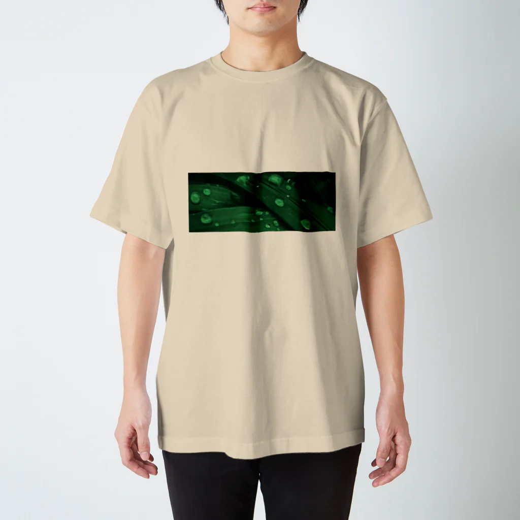 その物語を忘れない。のGRASSES AFTER RAIN, SOMEWHERE NORTH OF GARLAND Regular Fit T-Shirt