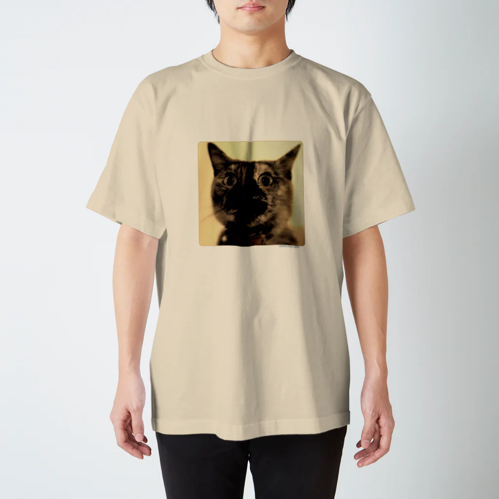 空手ポ⊿46の錆猫 Regular Fit T-Shirt