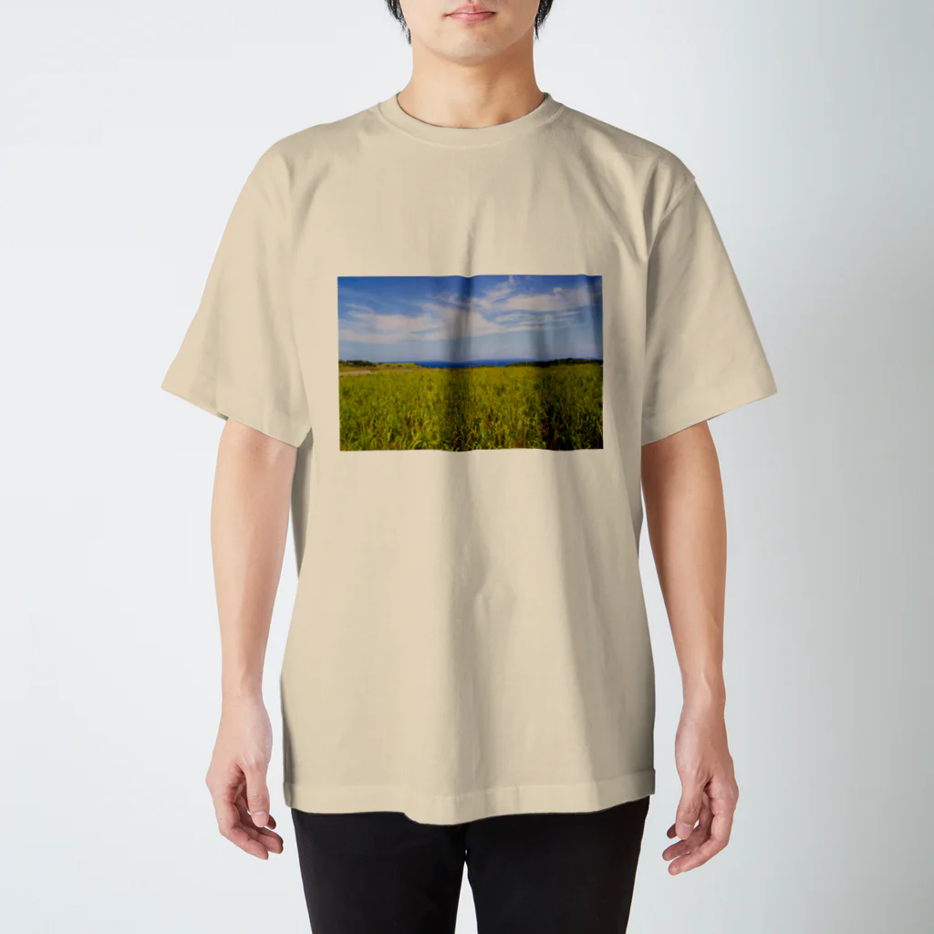 hiro_photoのさとうきび畑 スタンダードTシャツ