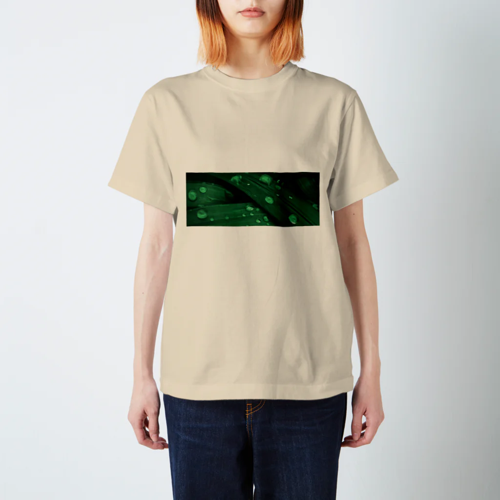 その物語を忘れない。のGRASSES AFTER RAIN, SOMEWHERE NORTH OF GARLAND Regular Fit T-Shirt