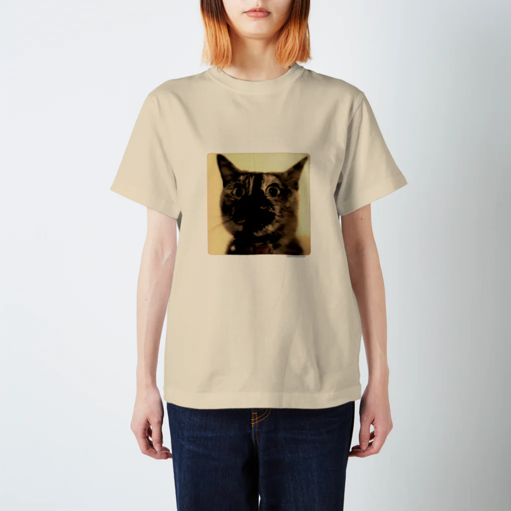 空手ポ⊿46の錆猫 Regular Fit T-Shirt