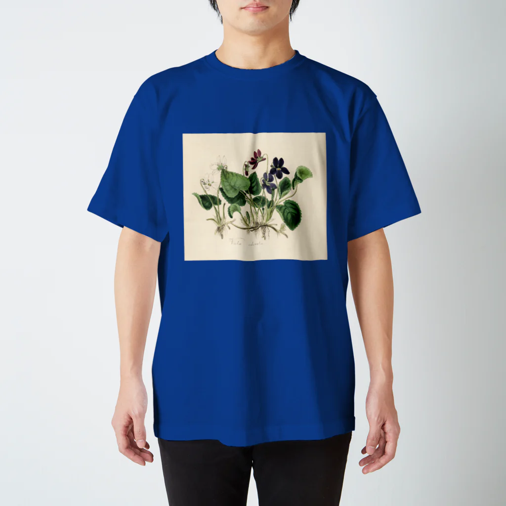 J. Jeffery Print Galleryのスミレ Regular Fit T-Shirt