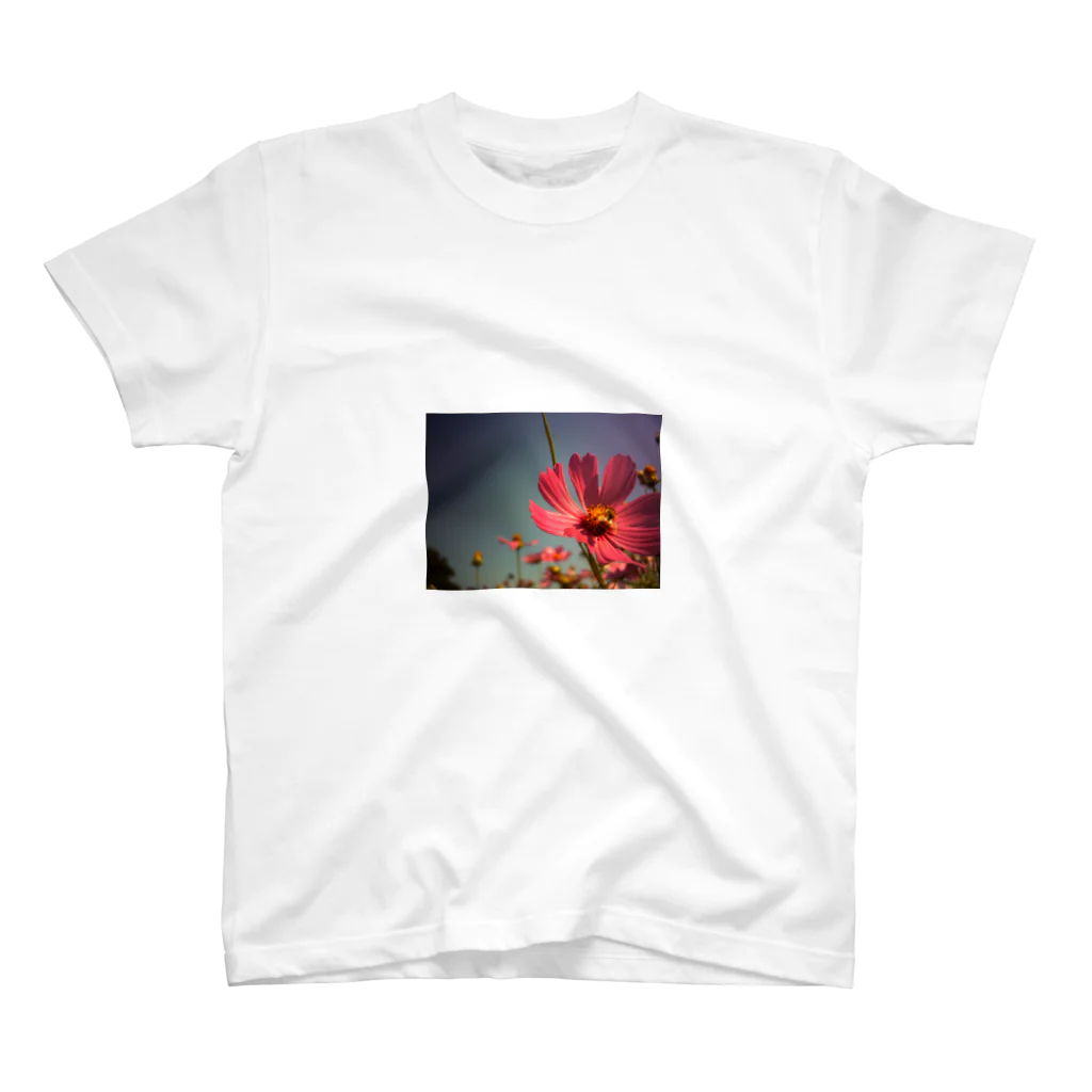 mimizukuのBee&Cosmos Regular Fit T-Shirt