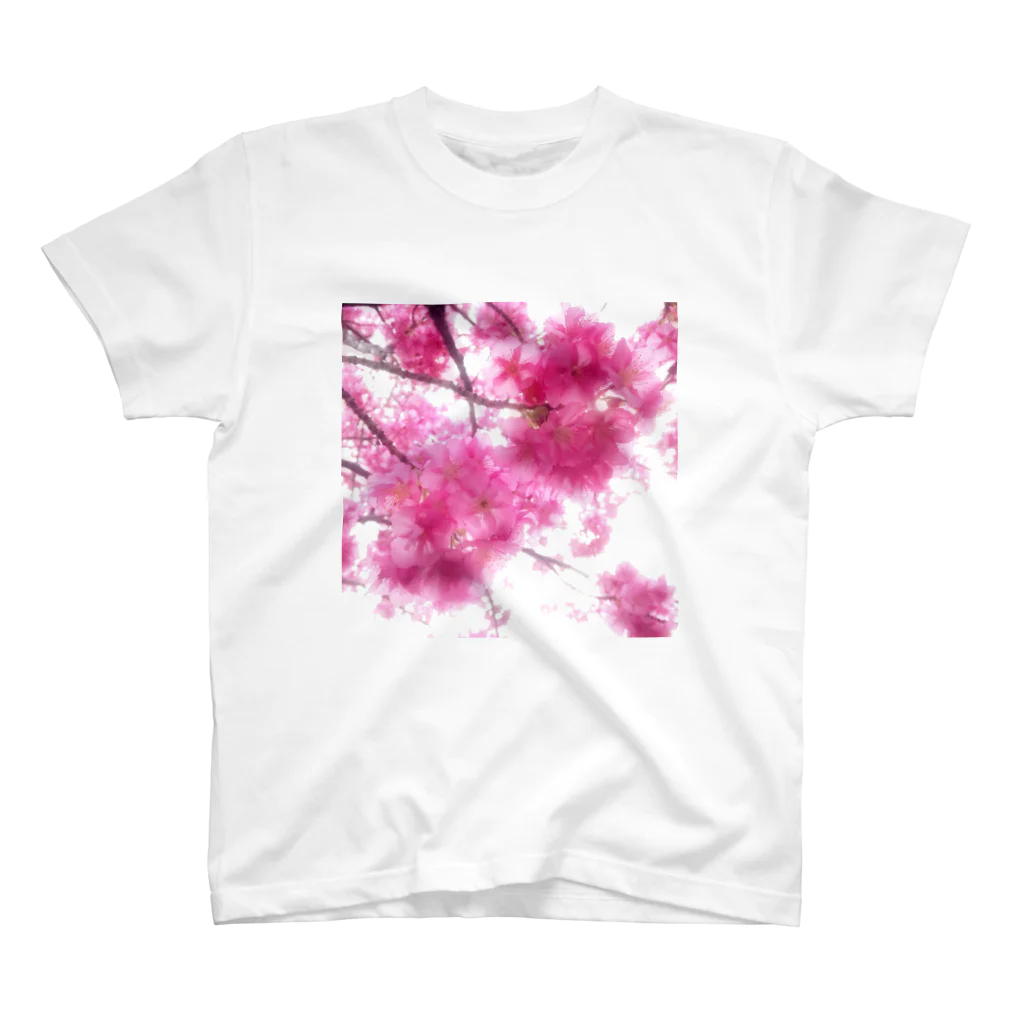 mayの河津桜 Regular Fit T-Shirt